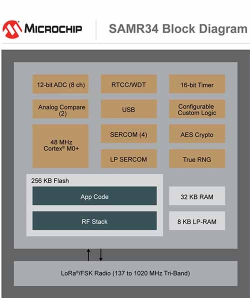 Microchip samr34 Diagram