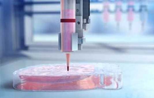 3D Bioprinting