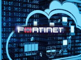Fortinet SD-WAN ASIC