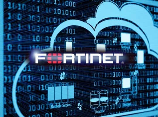 Fortinet SD-WAN ASIC