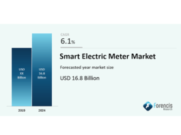 Smart Electric Meter Market