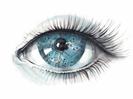human senses