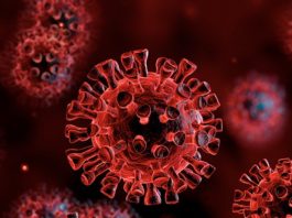 Coronavirus-COVID-19