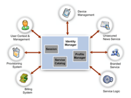 Identity access management system