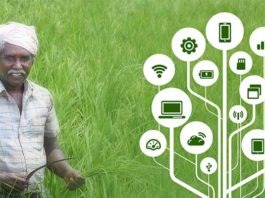 Transformation in the Agricultural sector