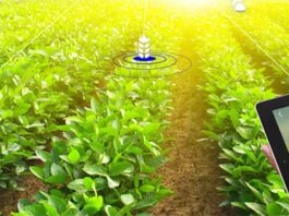 IoT in Agriculture