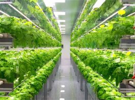 Cloud for Horticulture and Indoor Cultivation