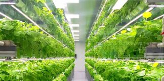Cloud for Horticulture and Indoor Cultivation