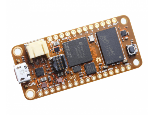 FPGA development board