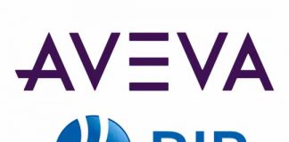 AVEVA and RIB Software