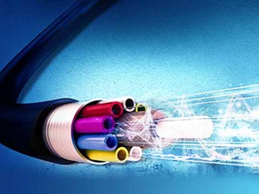 Backbone of the Network