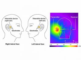 FIGURE_Scientists show how head tissue can be safely used as the transmission medium for head-worn electronics
