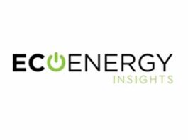 EcoEnergy Insights