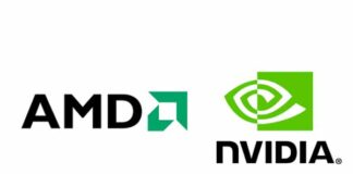 Nvidia & AMD stock