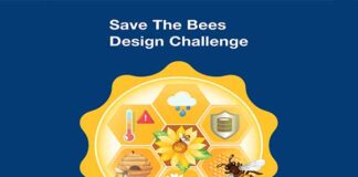 element14 Bees Design Challenge