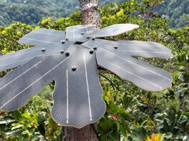 Infineon & Rainforest Connection