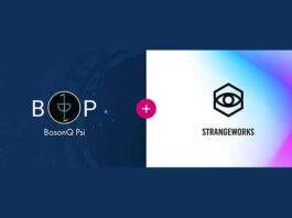 BQP simulation platform