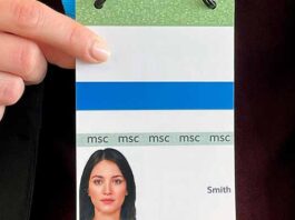 Veridos access system