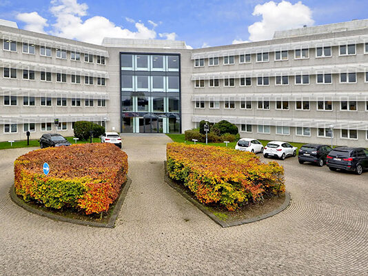 wireless mesh network