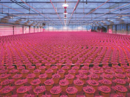 horticultural LED Series