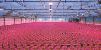 horticultural LED Series