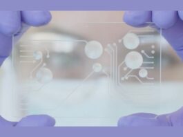 microfluidic chip