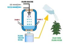 Plasma Assisted Agriculture