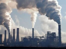 Carbon Storage in India