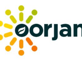 Indian Solar Market