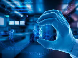 How Nanotechnology Elevates