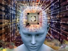 brain computer interface market 