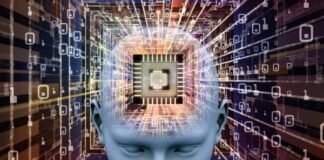 brain computer interface market 