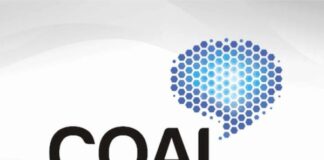 COAI Highlights 2024