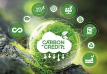 Carbon Credit Market