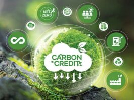 Carbon Credit Market