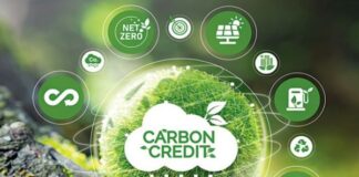 Carbon Credit Market