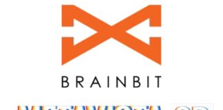 Metavista3D and BrainBit