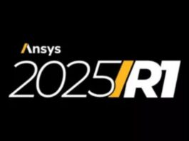 Ansys 2025 R1