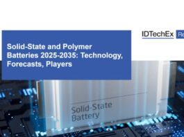 Solid-State and Polymer Batteries