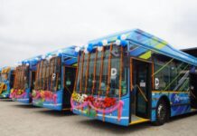 electric bus market