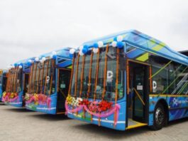 electric bus market