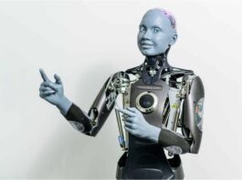 Humanoid Robot Market