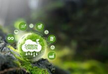 Carbon Management Market