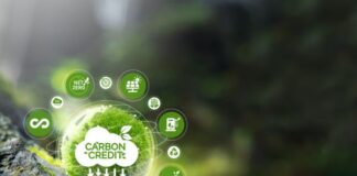 Carbon Management Market