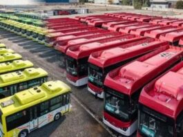 Electric Buses