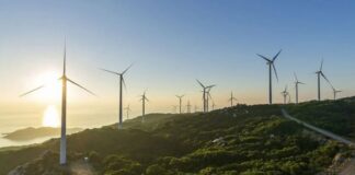 Quantum Computing in Energy and Utility Market