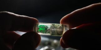ingestible sensors market