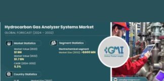 Hydrocarbon Gas Analyzer