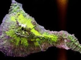 Synthetic Aperture Radar