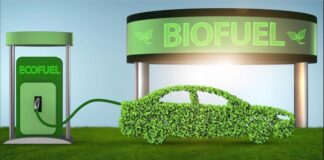 Advanced Biofuel Market